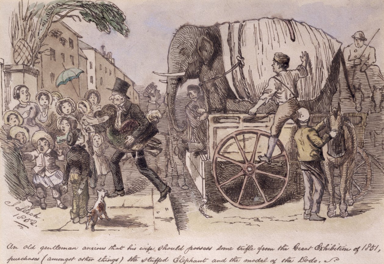 &39;Um velho cavalheiro, ansioso para que sua esposa possuísse alguma coisa da Grande Exposição de 1851, comprou (entre outras coisas) o elefante empalhado e o modelo do dodô&39;, atraído por Punch. de John Leech