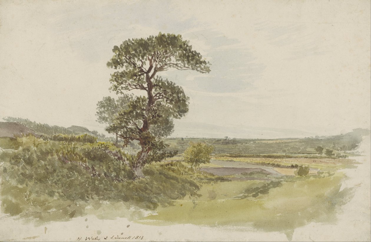 Uma paisagem em Snowdonia com uma árvore em primeiro plano de John Linnell
