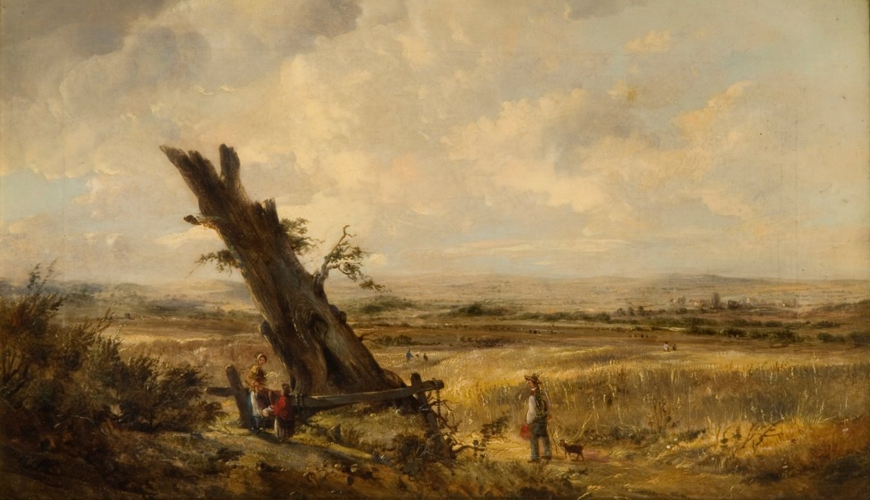 Paisagem, com, cornfield de John Linnell