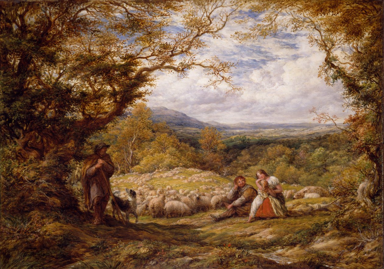 The Sheep Drive de John Linnell
