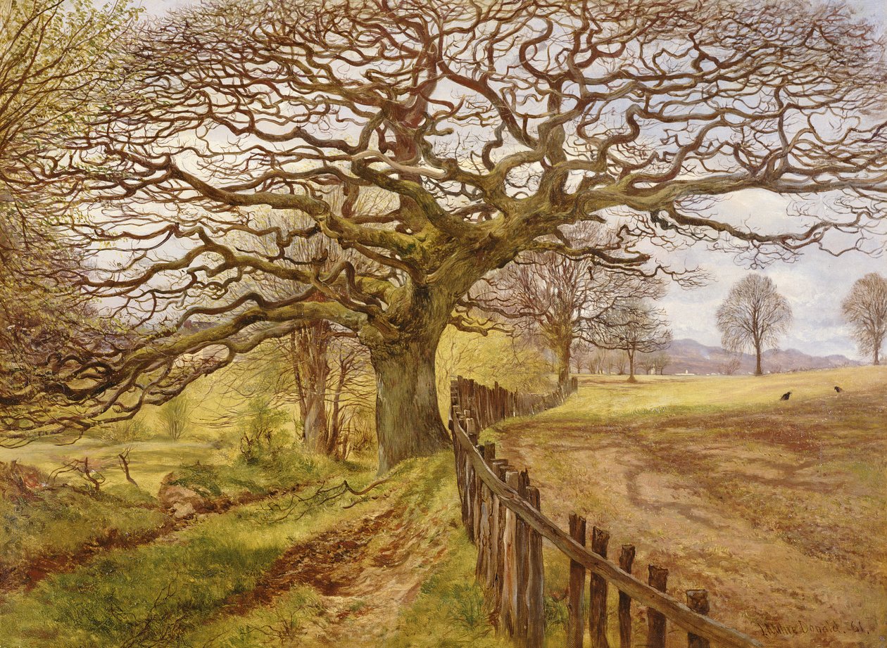 A árvore, 1861 de John Milne Donald