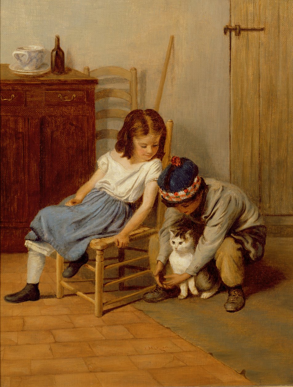 Brincando com gatinha de John Morgan
