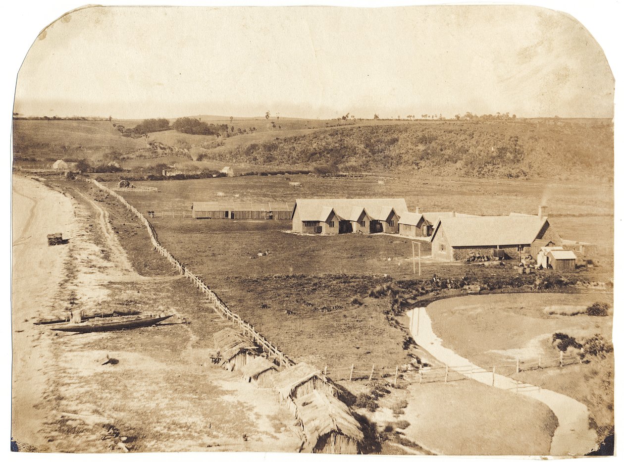 Kohimarama, c.1860 (impressão salina albumenizada) de John Nicol Crombie