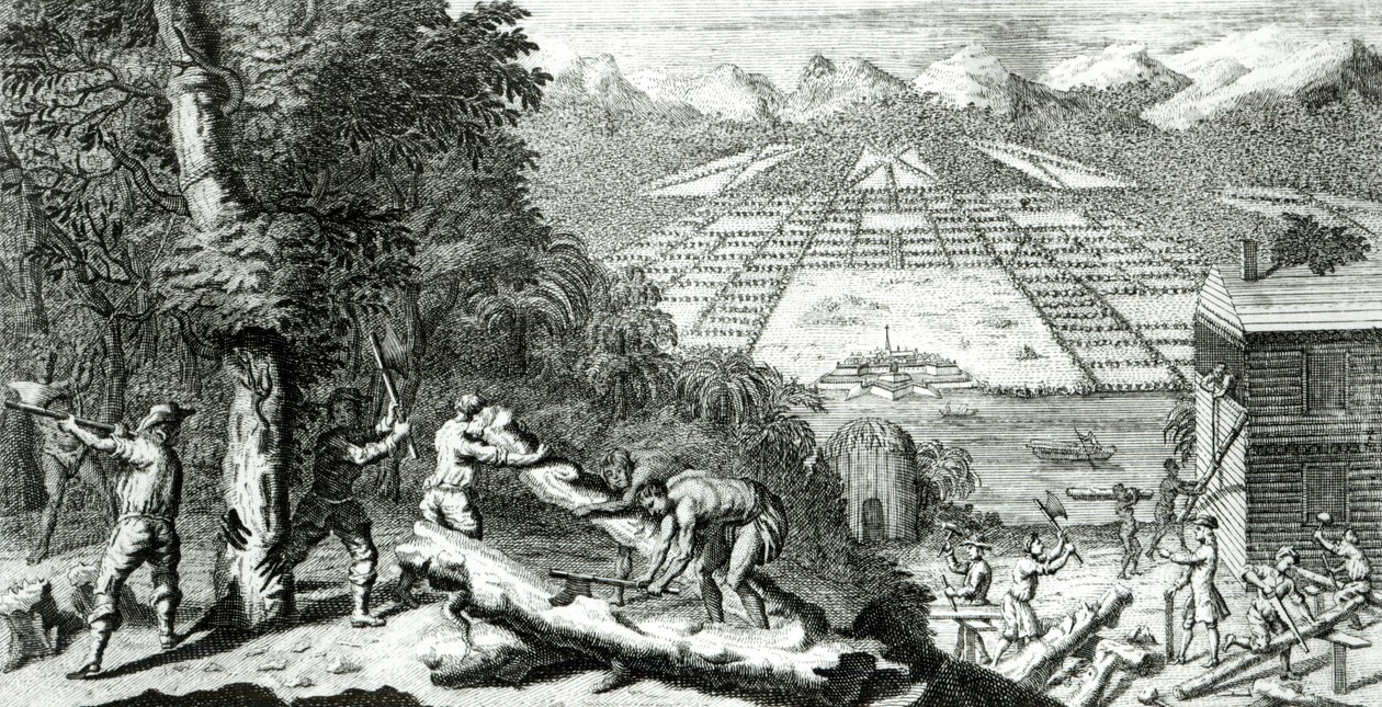 Ilustração de &39;As razões para estabelecer a colônia da Geórgia&39; por Benjamin Martyn (1699-1763), 1733 de John Pine