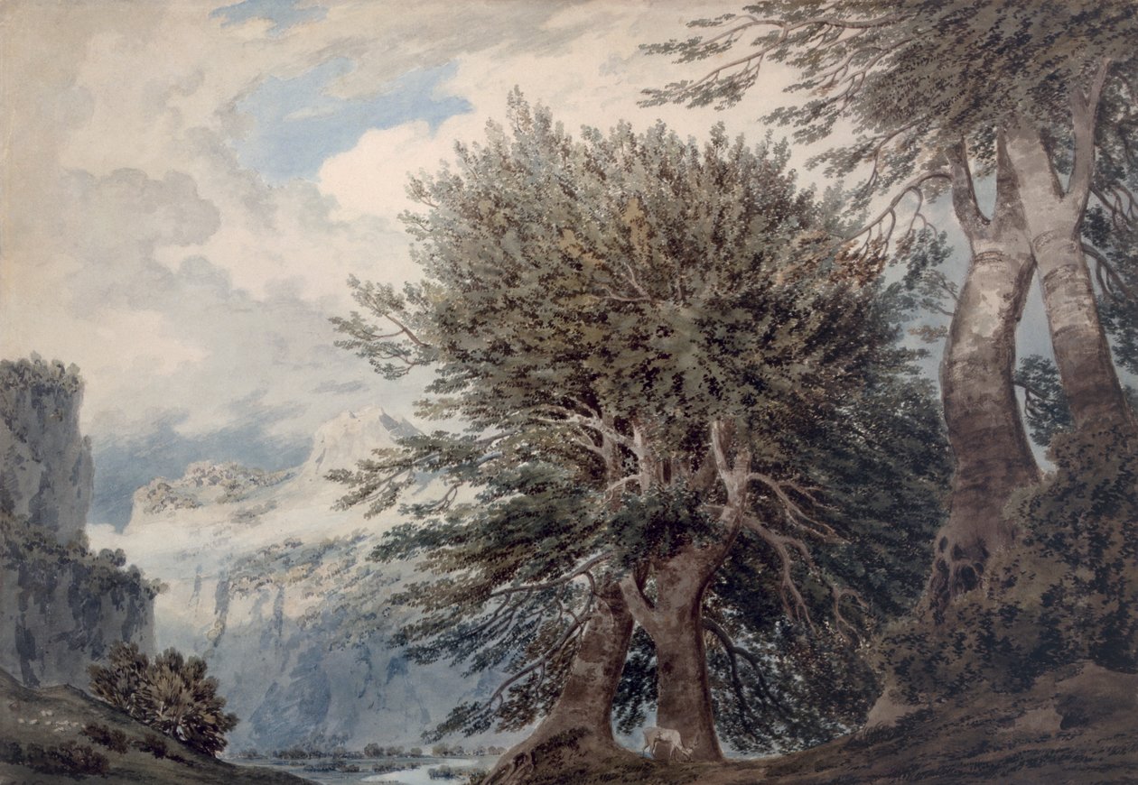 Paisagem montanhosa com faias, 1792 de John Robert Cozens