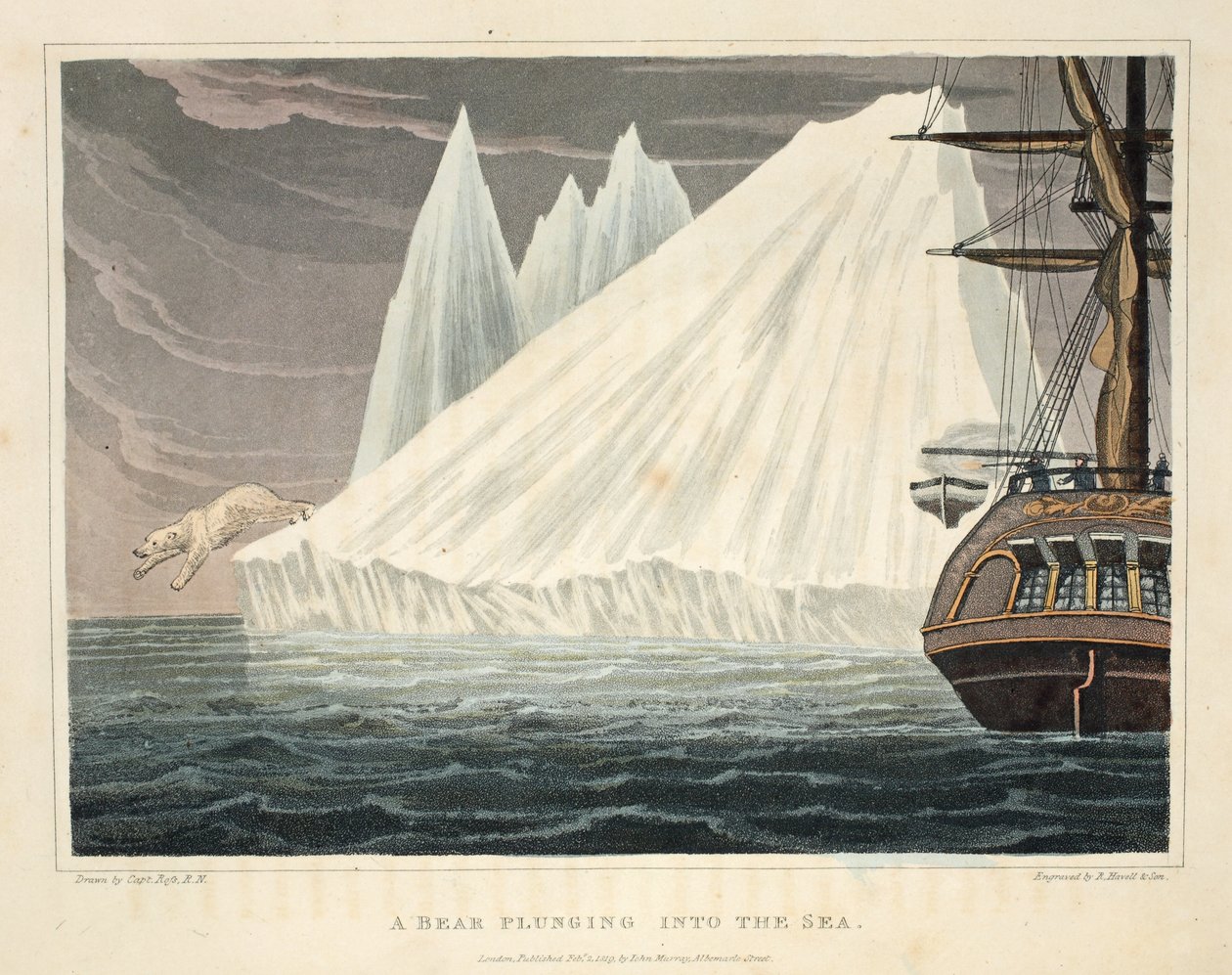 Um urso mergulhando no mar, ilustração de &39;A Voyage of discovery ...&39;, 1819 (gravura colorida à mão) de John Ross