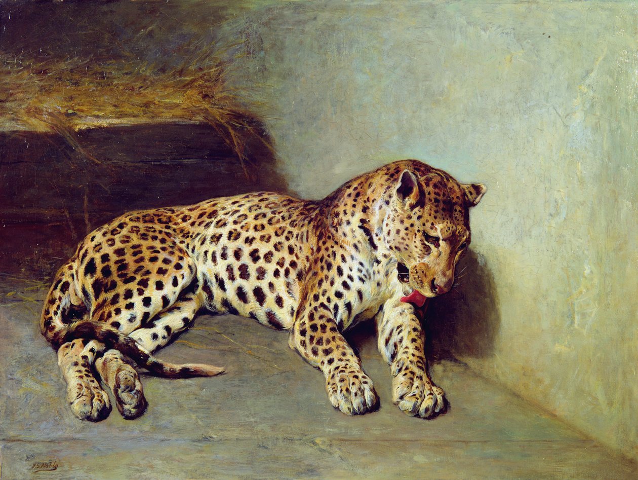 O leopardo de John Sargent Noble