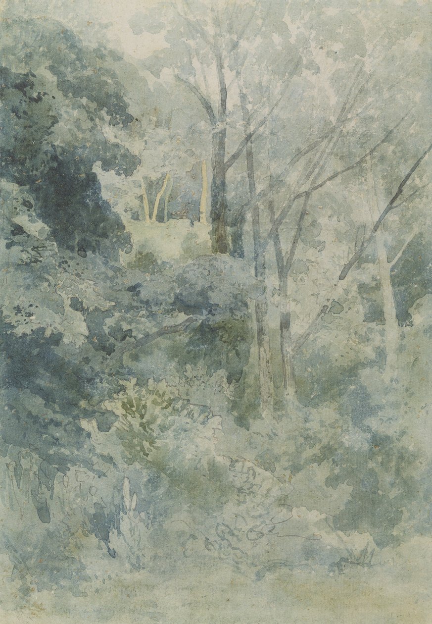Em Rokeby Park, c.1805 (wc e lápis no papel) de John Sell Cotman