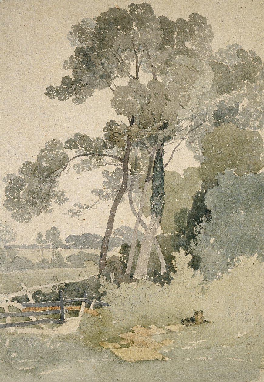 Perto de Brandsby, Yorkshire, 1865 (aguarela sobre papel) de John Sell Cotman