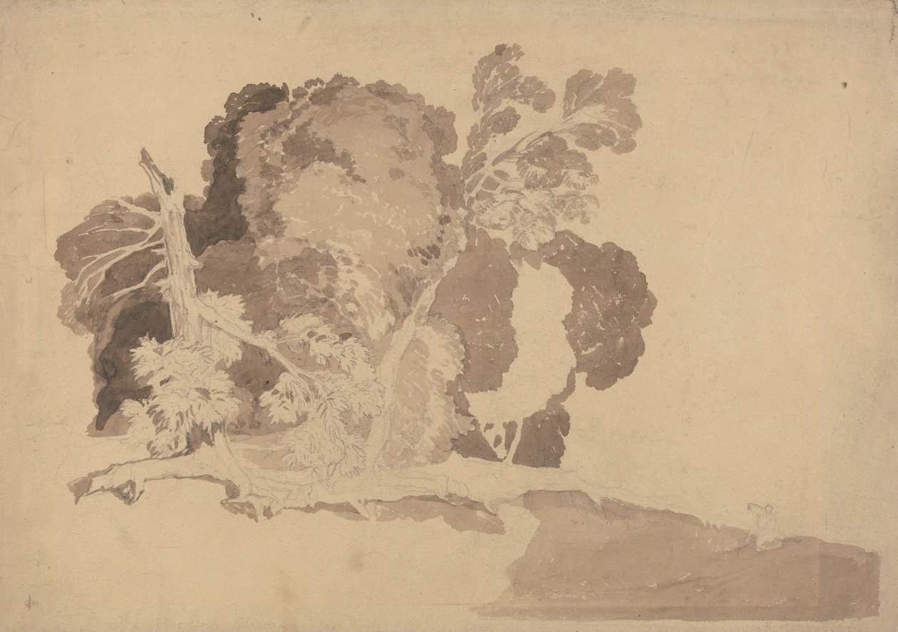 Estudo de Árvores de John Sell Cotman