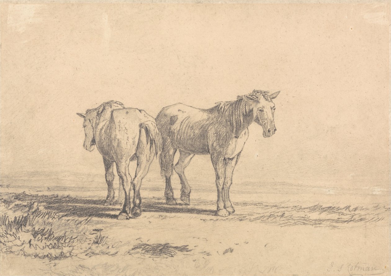 Dois, cavalos velhos, ficar, em, um, campo de John Sell Cotman
