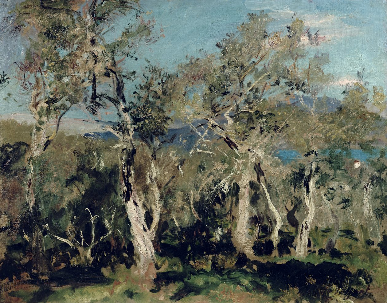 Azeitonas, Corfu, 1912 de John Singer Sargent