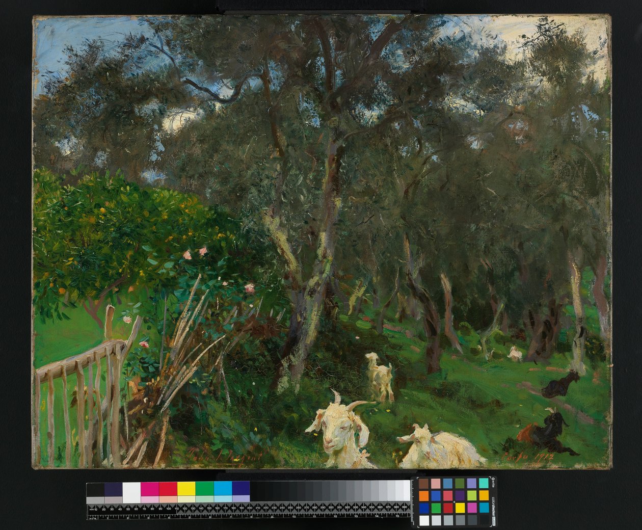Azeitonas em Corfu, 1909 de John Singer Sargent