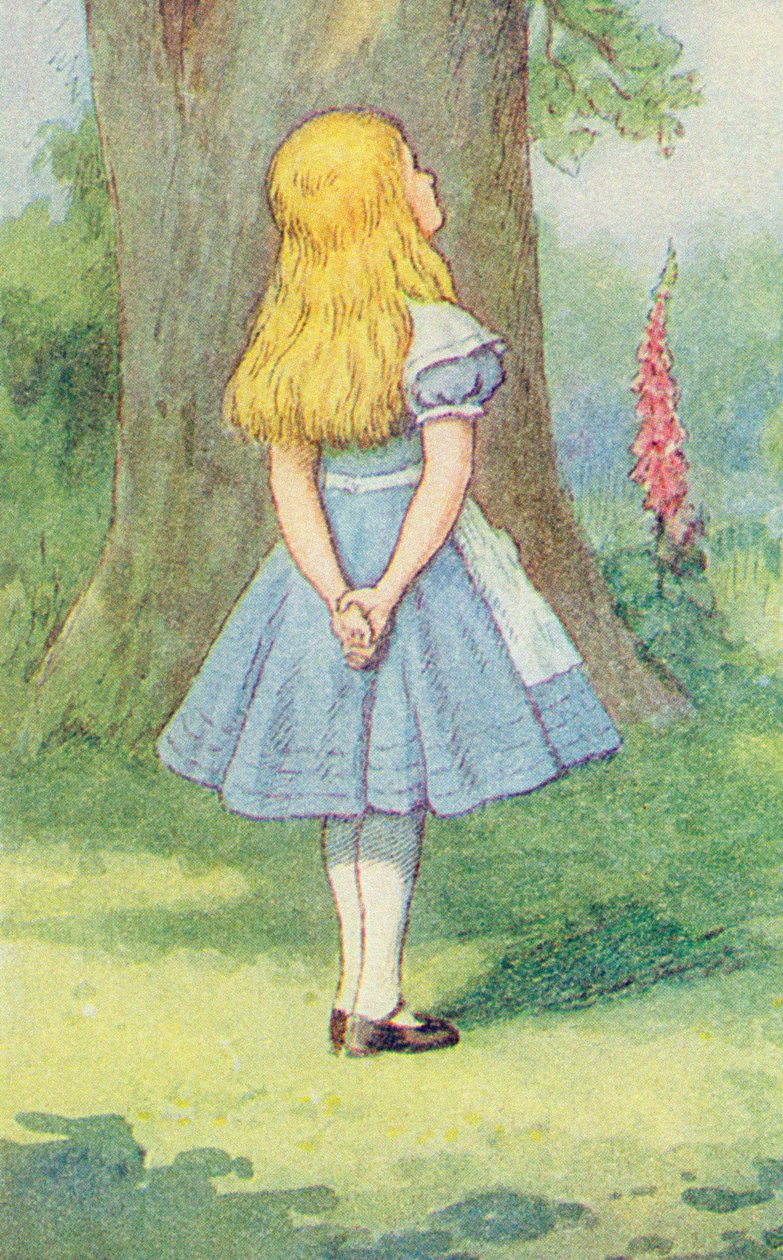 Alice e o gato de Cheshire, ilustração de &39;Alice no País das Maravilhas&39; por Lewis Carroll (1832-18) (detalhe de 264483) de John Tenniel