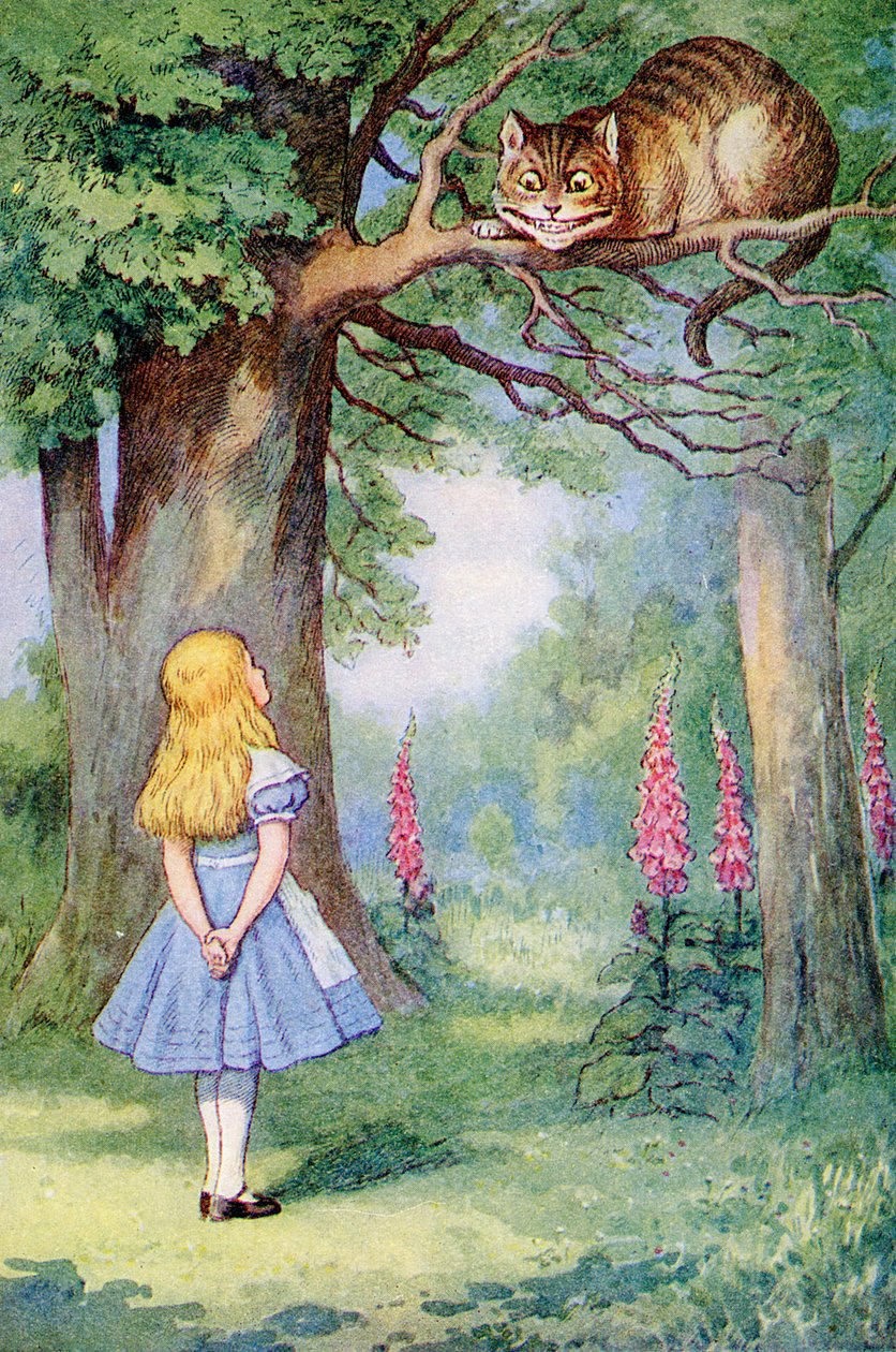 Alice e o gato de Cheshire, ilustração de &39;Alice no País das Maravilhas&39; por Lewis Carroll (1832-98) de John Tenniel