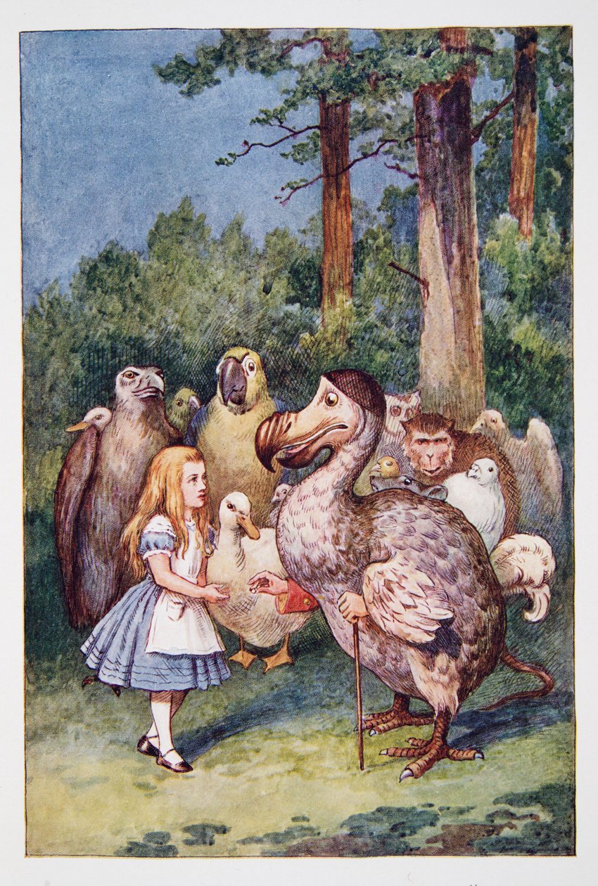 Alice conhece o Dodo, de Alices Adventures In Wonderland e através do espelho e que Alice encontrou lá, por Lewis Carroll (1832 - 98), publicado em 1911 (litografia colorida) de John Tenniel