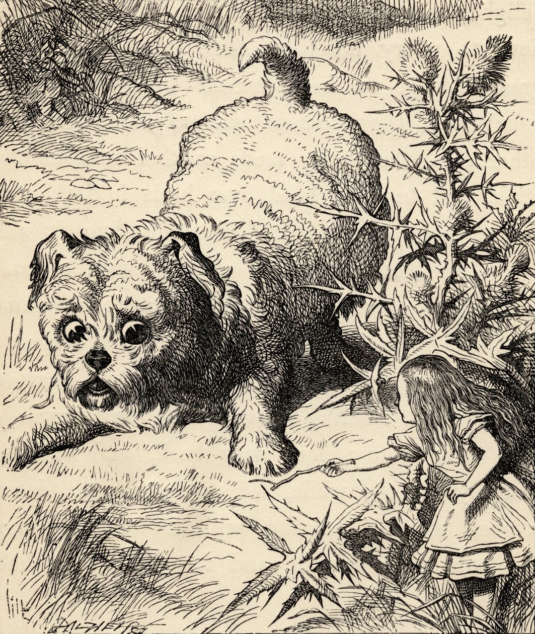 Alice encolhe e conhece o filhote, de &39;Alice no País das Maravilhas&39;, de Lewis Carroll, publicado em 1891 de John Tenniel