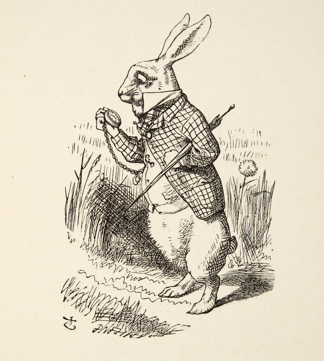 O coelho branco, de Alices Adventures in Wonderland por Lewis Carroll (1832 - 98), pub. 1891 de John Tenniel