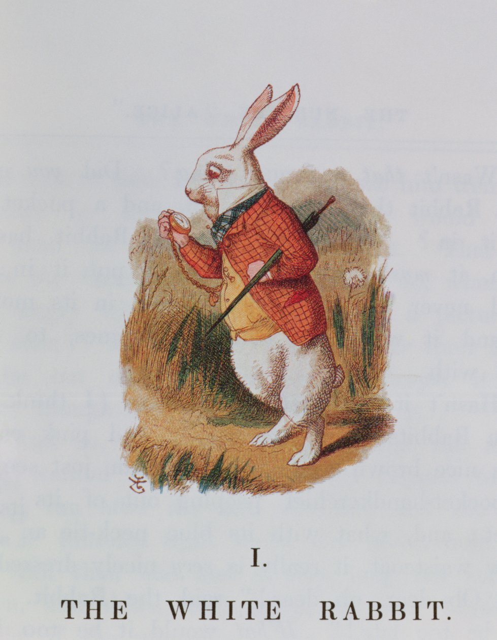 O coelho branco, ilustração de &39;Alice no País das Maravilhas&39; por Lewis Carroll (1832-98) adaptado por Emily Gertrude Thomson (d.1932) 1889 de John Tenniel