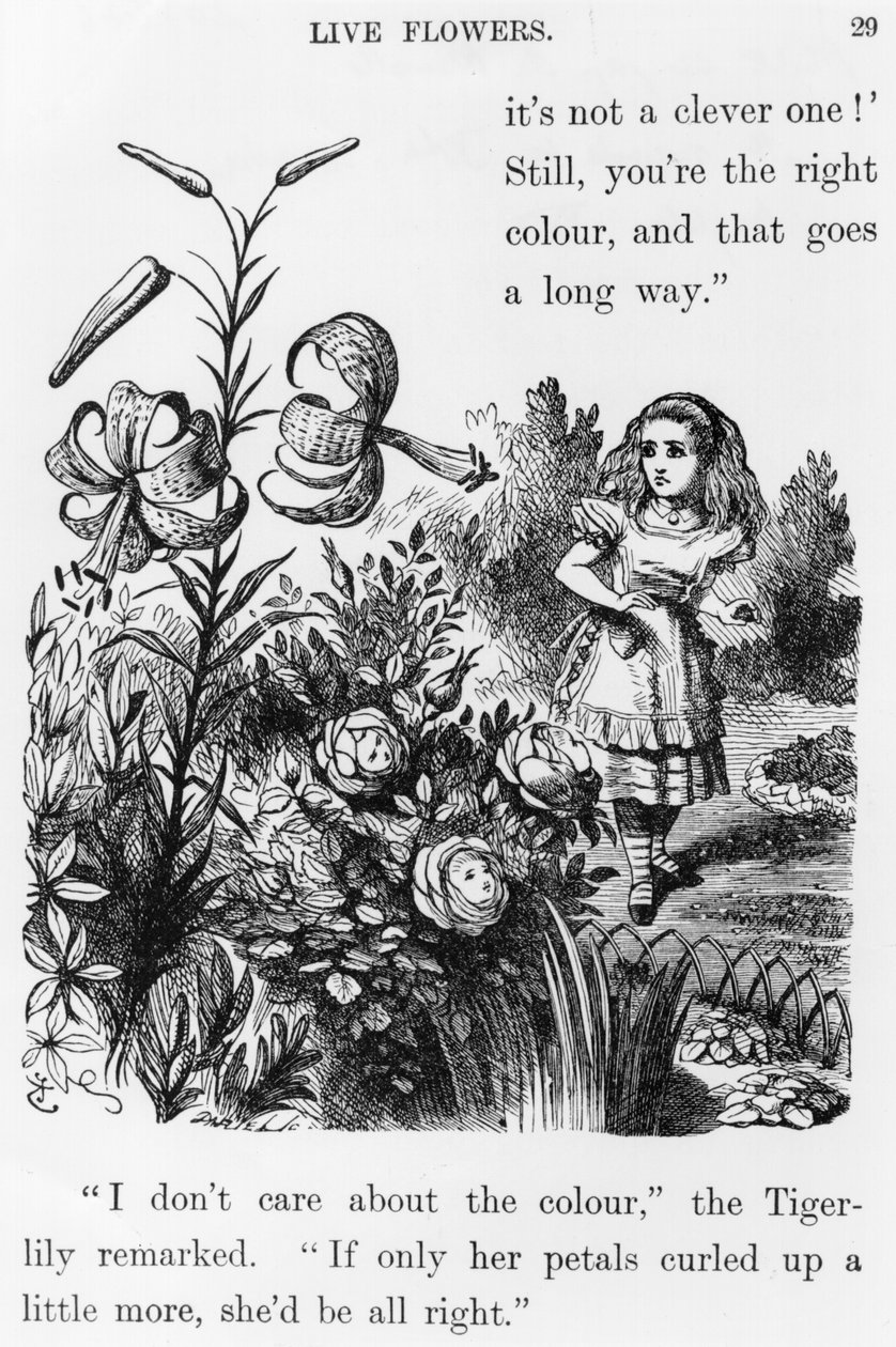 Tiger Lily, de &39;Através do Espelho&39; por Lewis Carroll (1832-98) de John Tenniel