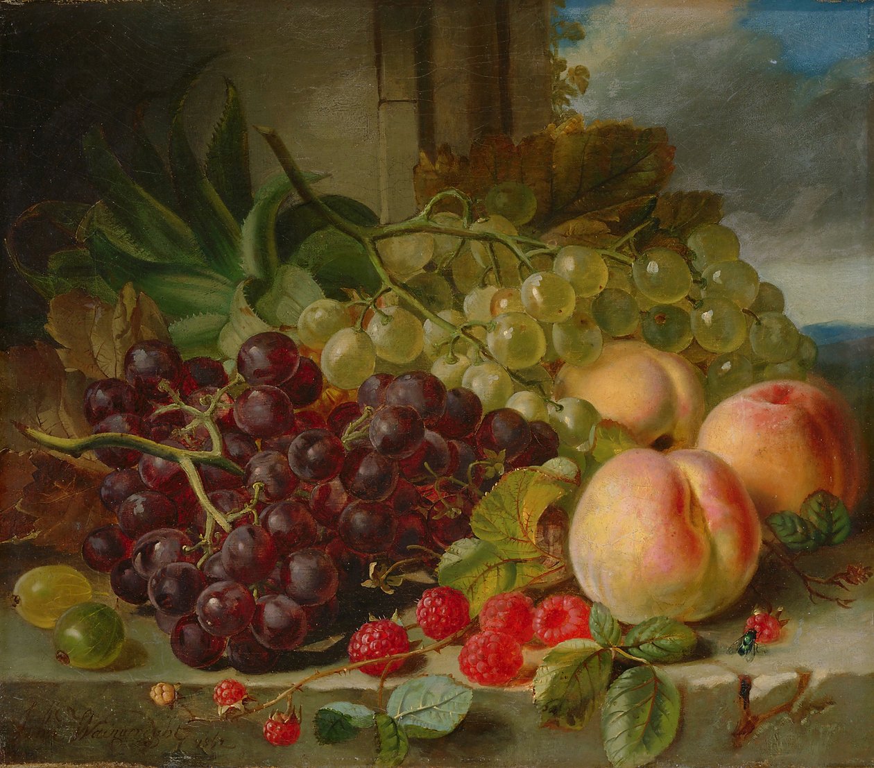 Ainda vida com frutas, 1862 de John Wainwright