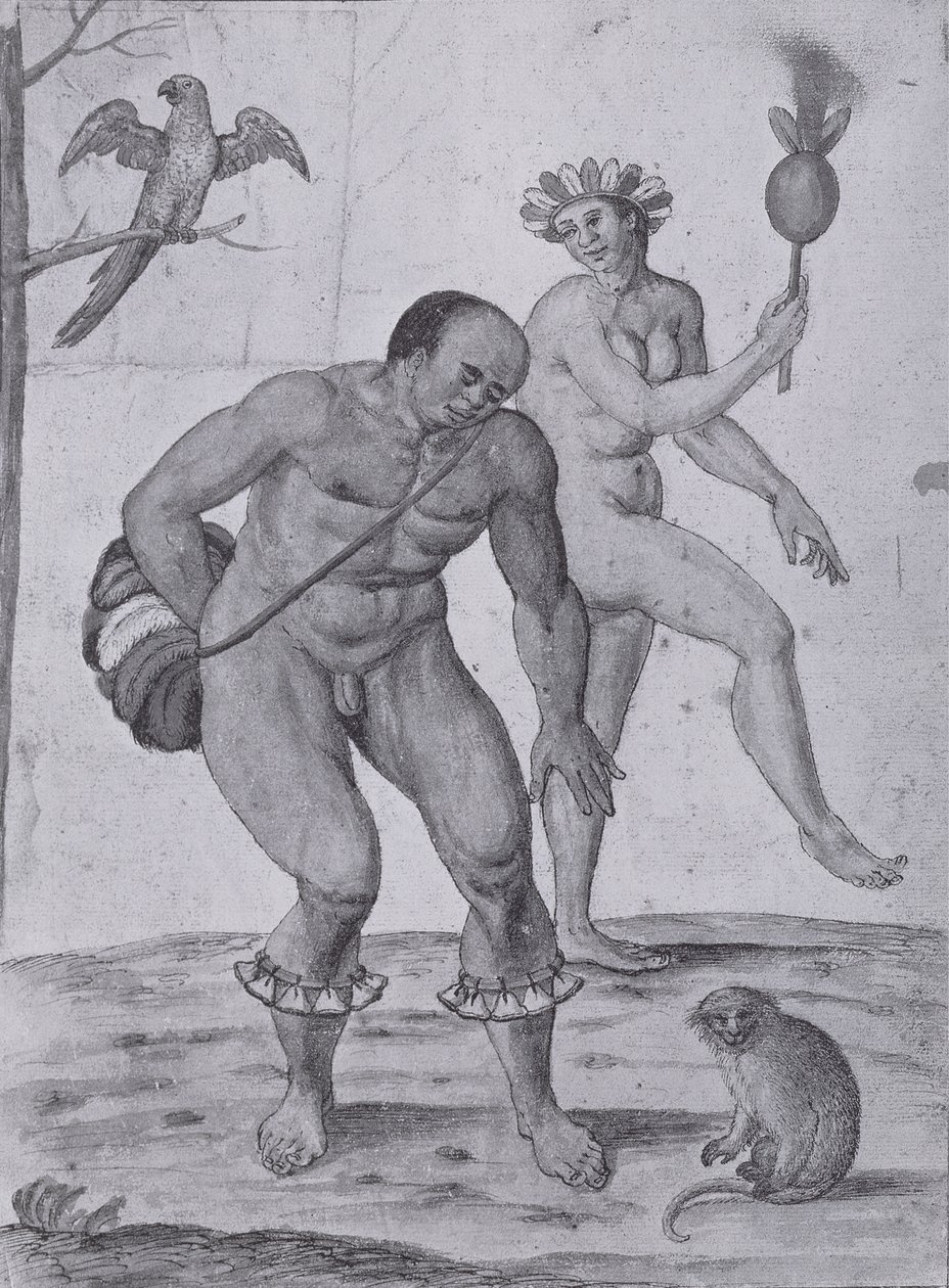 Dança dos índios brasileiros de John White