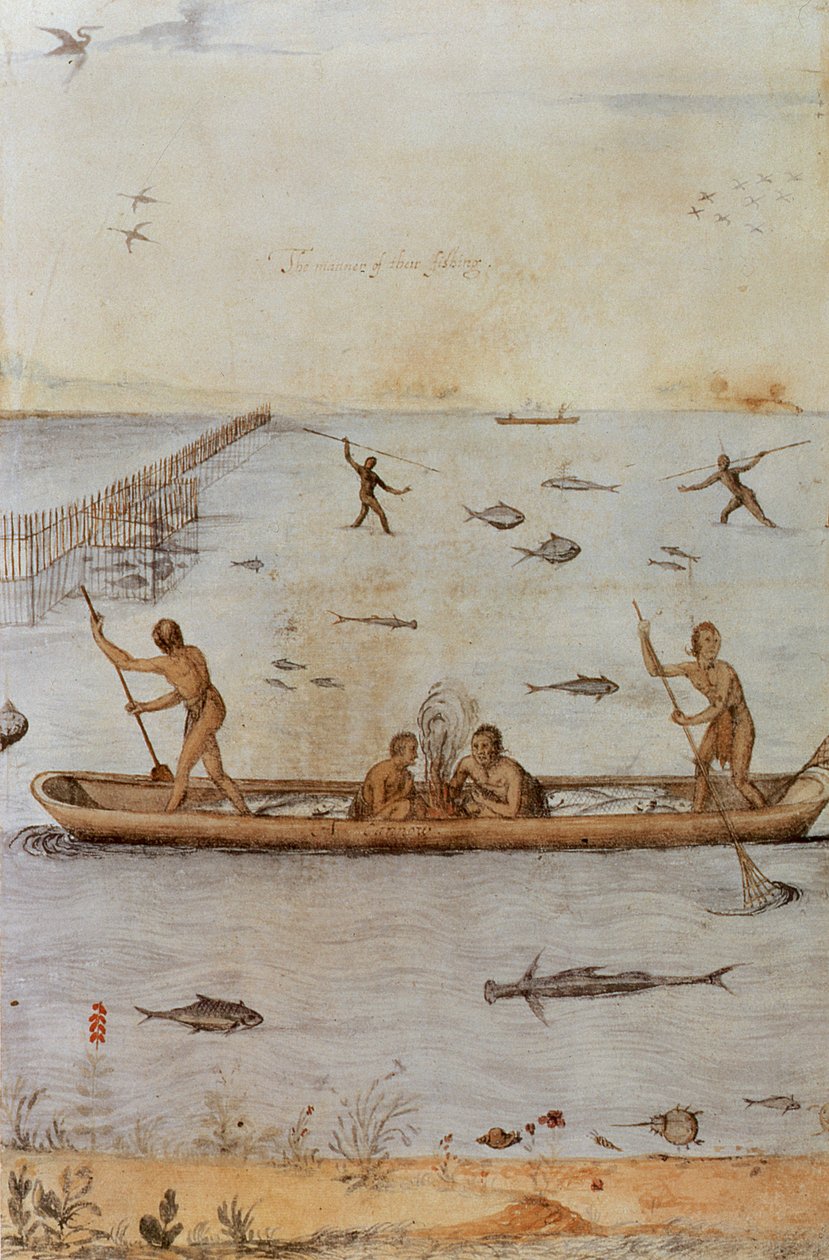 Índios de pesca de John White