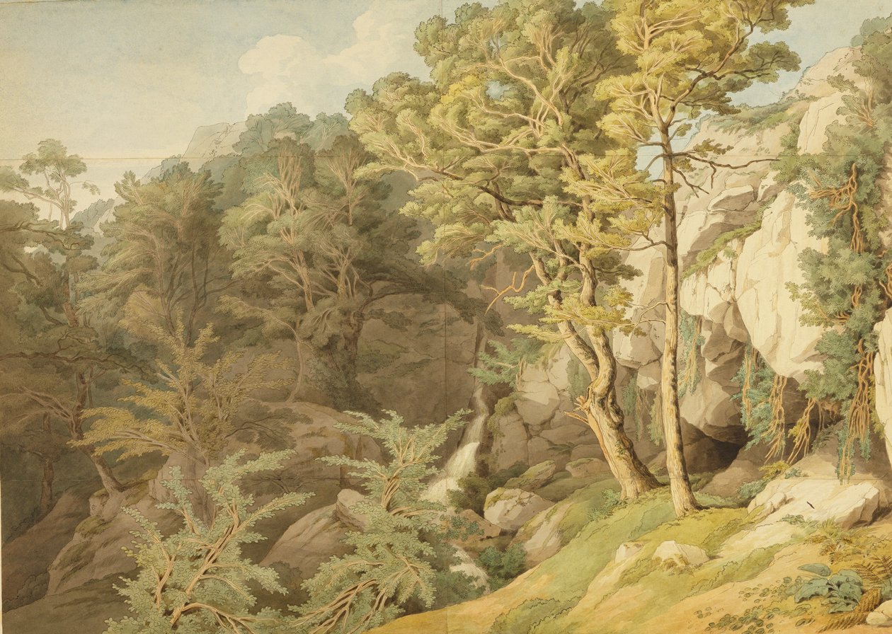 Canonteign, Devon, 1804 (caneta e tinta no papel) de John White Abbott