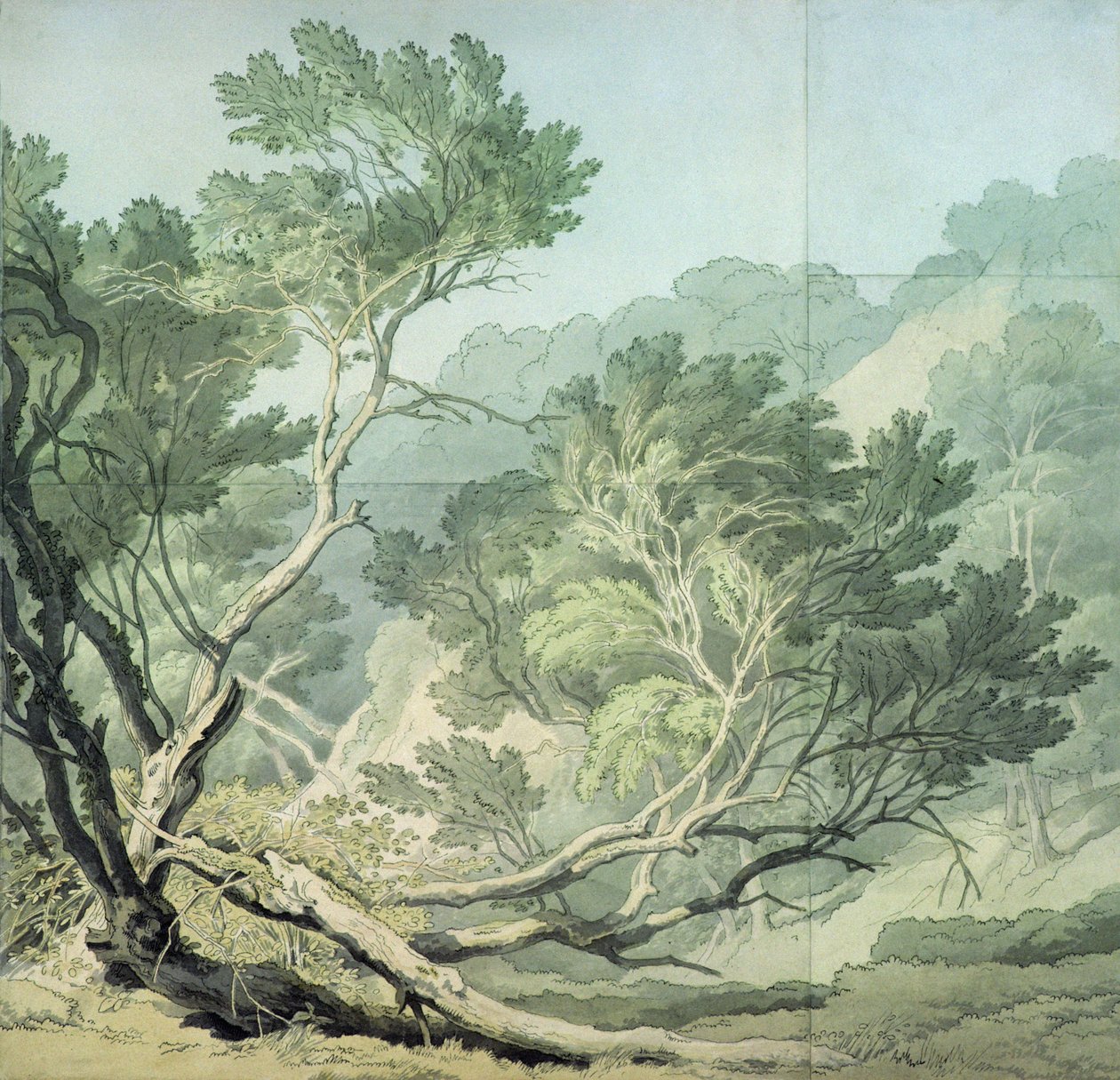 Veja perto de Fordlands, Exeter de John White Abbott
