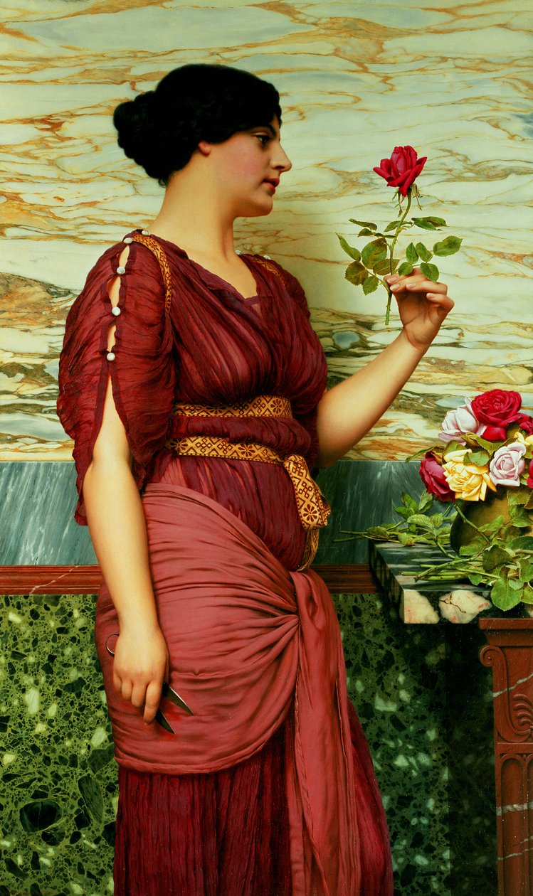 Uma rosa vermelha de John William Godward