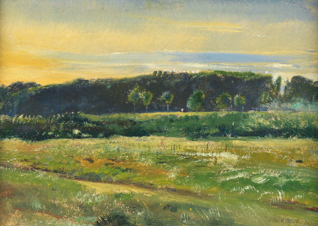 The Common, junho de 1871 (óleo no cartão) de John William Inchbold