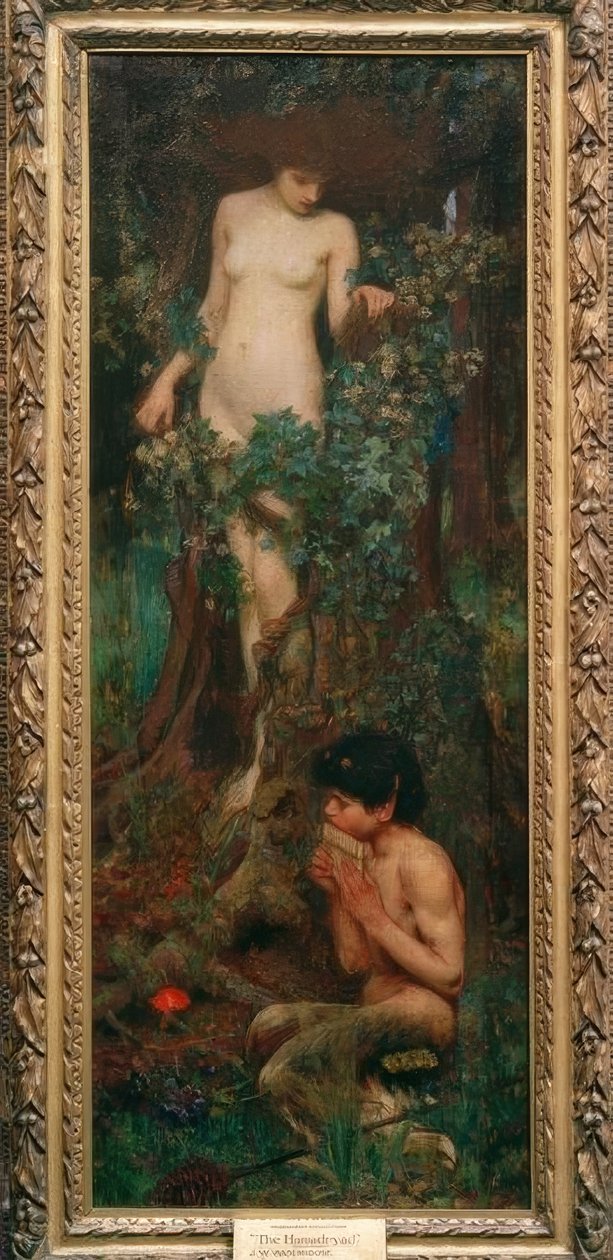 A Hamadryad de John William Waterhouse