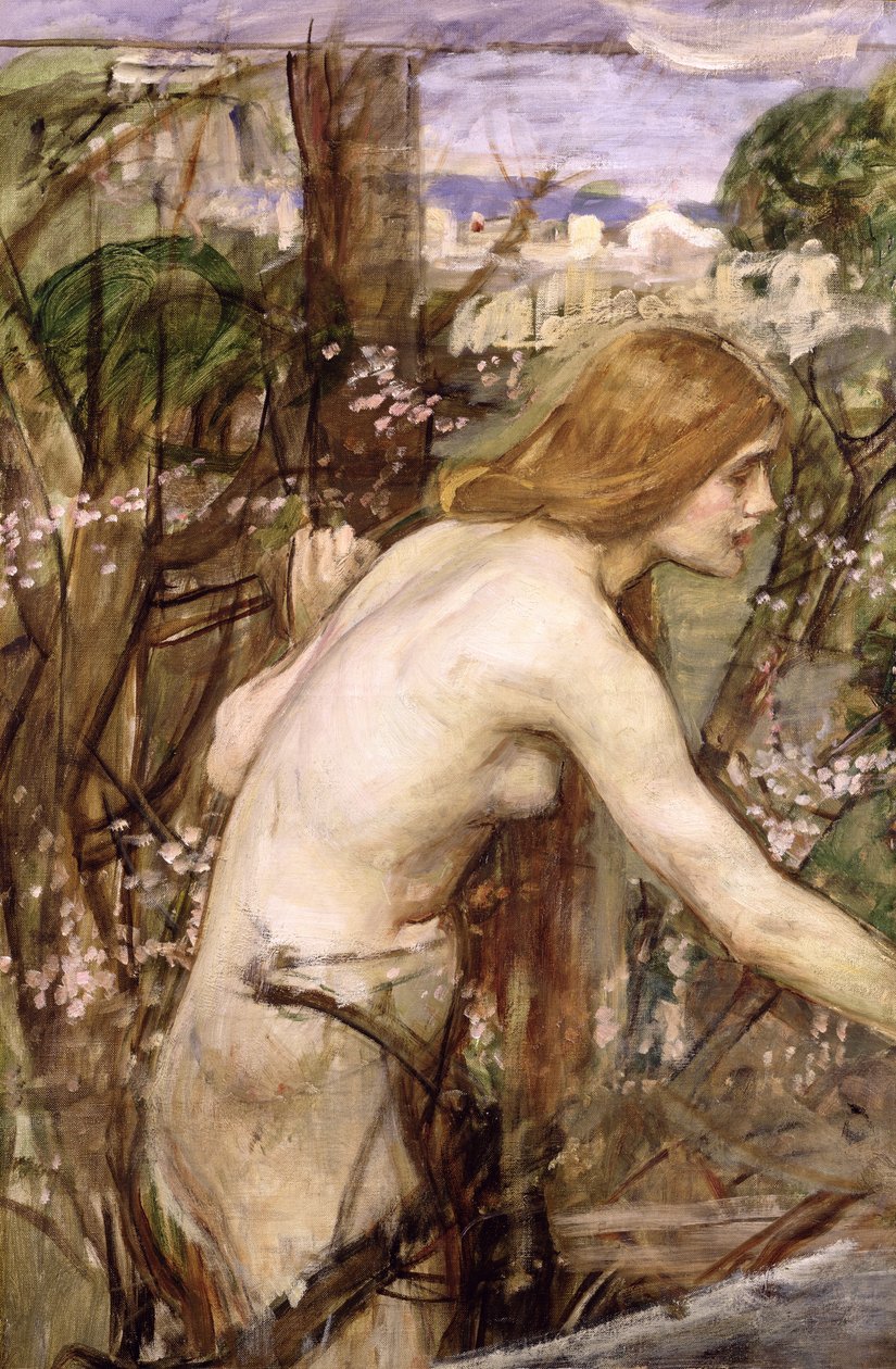 O Flower Picker (óleo sobre tela colocado a bordo) de John William Waterhouse