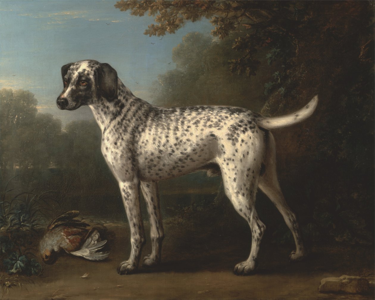 Um Grey Spotted Hound de John Wootton
