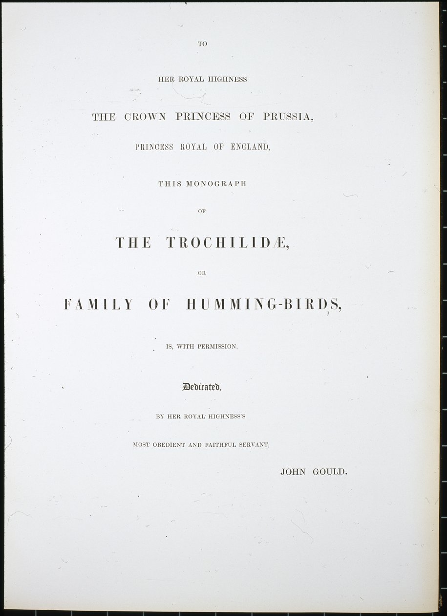 Frontispício (litro colorido à mão) de John (after) Gould
