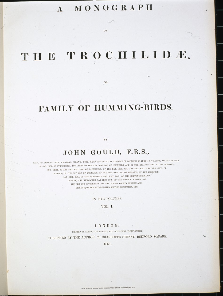 Frontispício (litro colorido à mão) de John (after) Gould