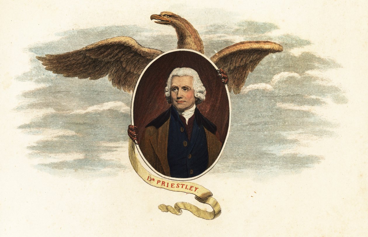 Dr. Joseph Priestley, teólogo e cientista de John (after) Opie