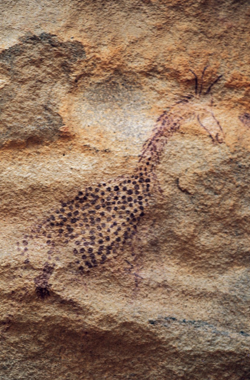 Girafa, pintura rupestre, Período Pastoral (4000-2500 AC), Tassili n