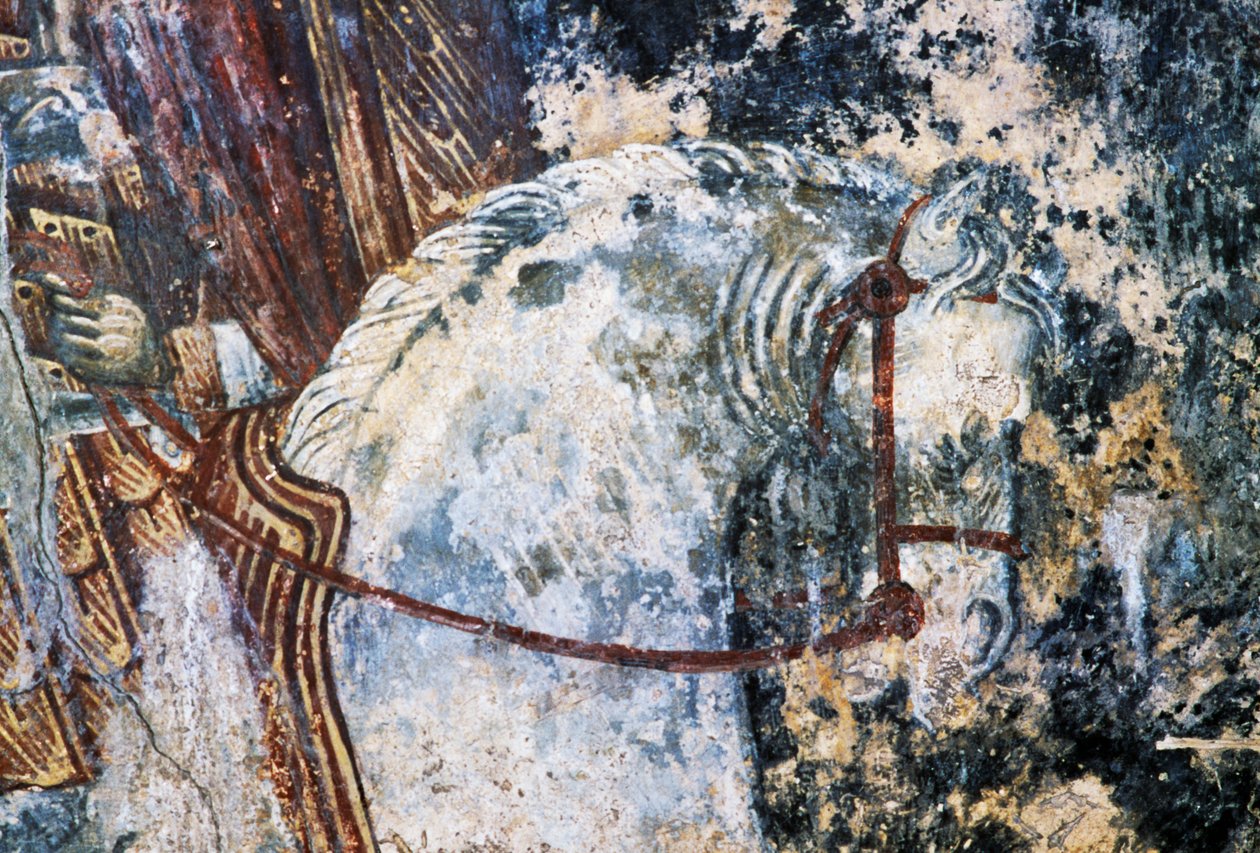 Cavalo, afresco danificado no teto da igreja de Agios Vasileios, Vavouledo, Creta, Grécia (foto) de Walter Charles Mills