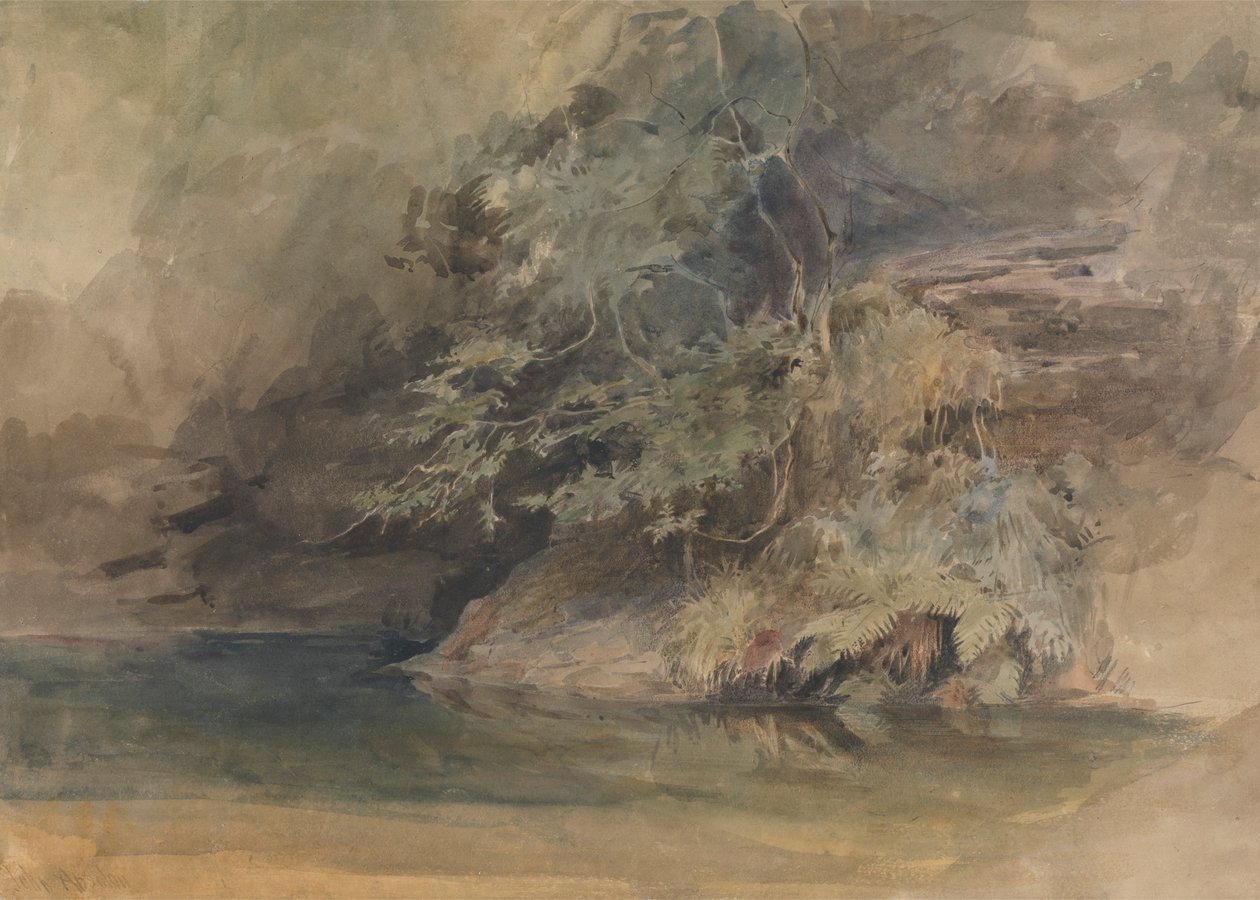 Árvores junto a uma piscina de John Absolon