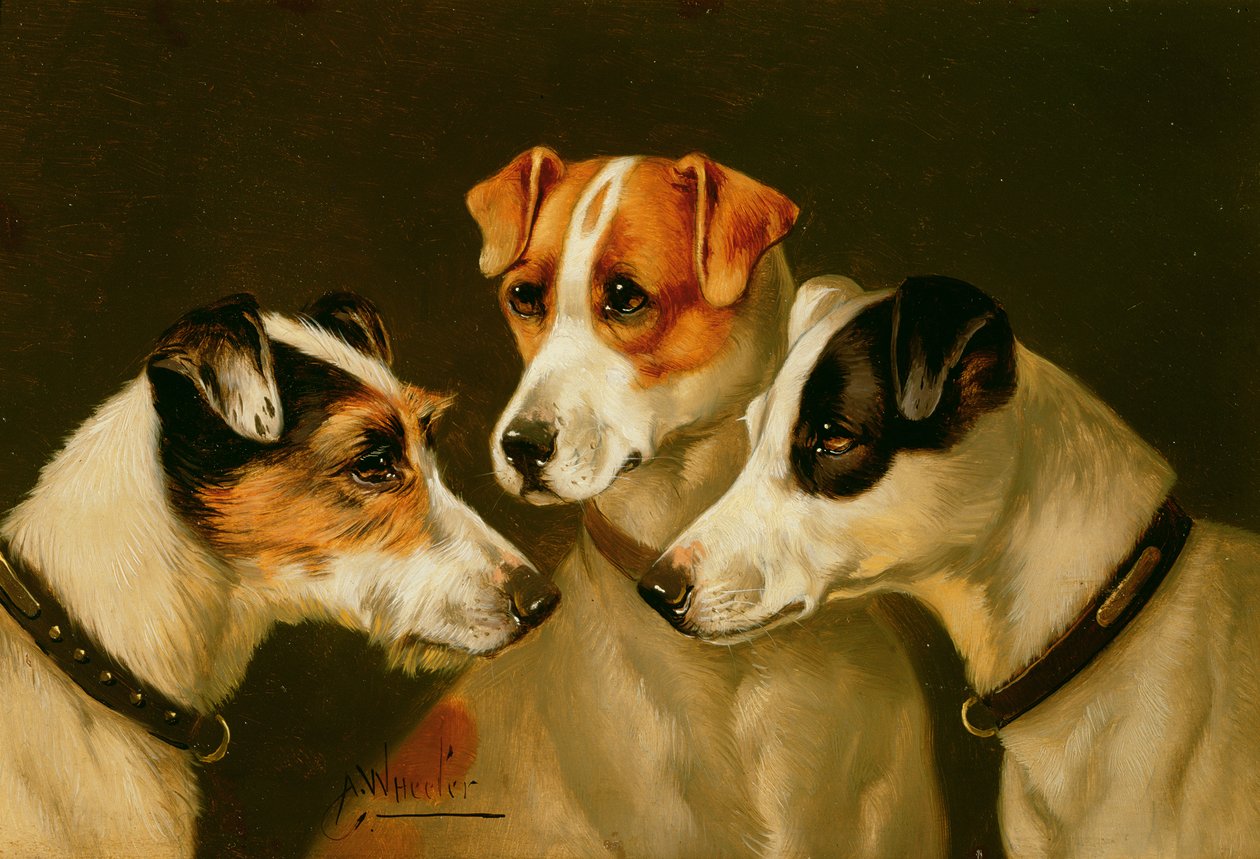 Os cães de John Alfred Wheeler