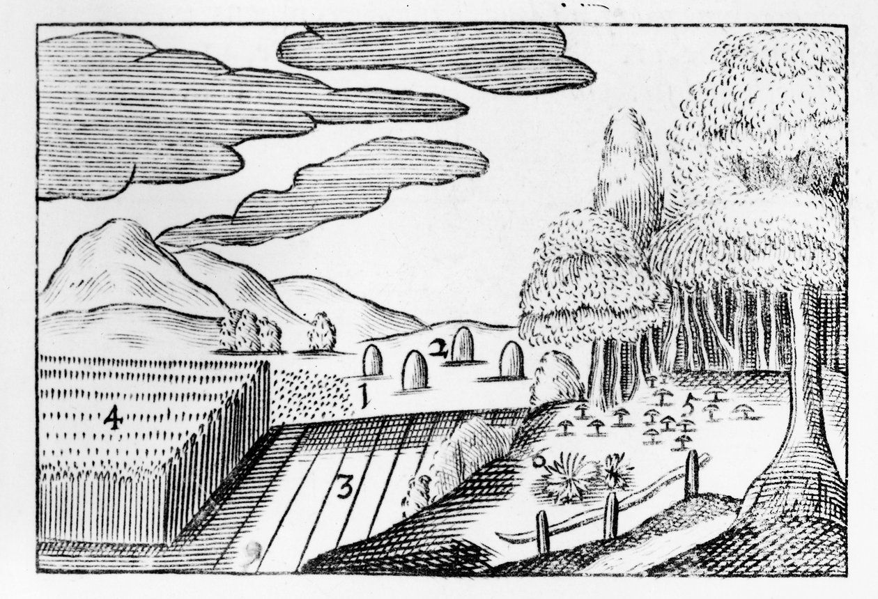 Frutas da Terra, 1658 de John Amos Comenius