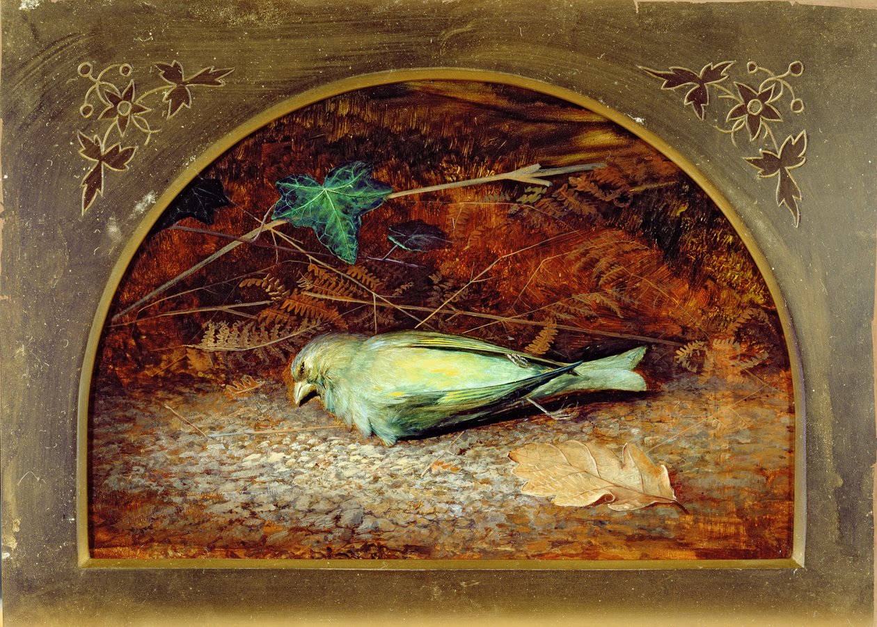 A Dead Linnet de John Atkinson Grimshaw
