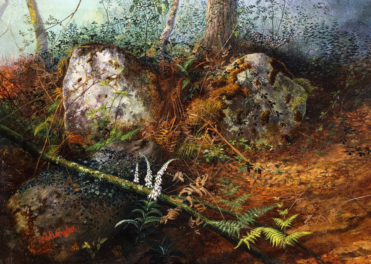 Newlay Wood, 1861 de John Atkinson Grimshaw
