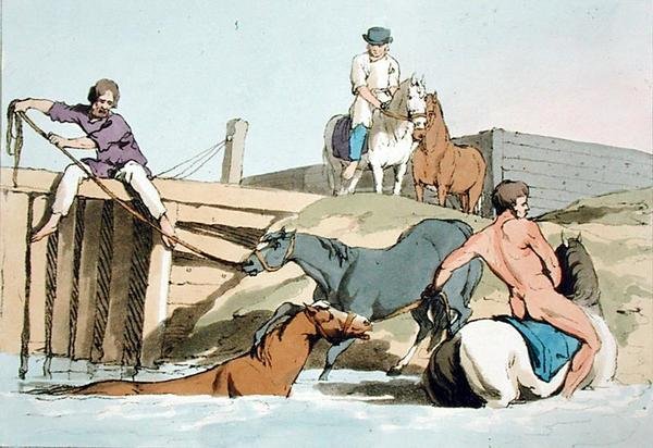 Cavalos de Banho, gravados pelo artista, publicado em 1803 (cor litho) de John Augustus Atkinson