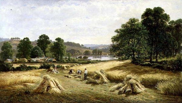 Reunindo o grão de ouro perto de Bishopsteignton, Plymouth de John Barrett