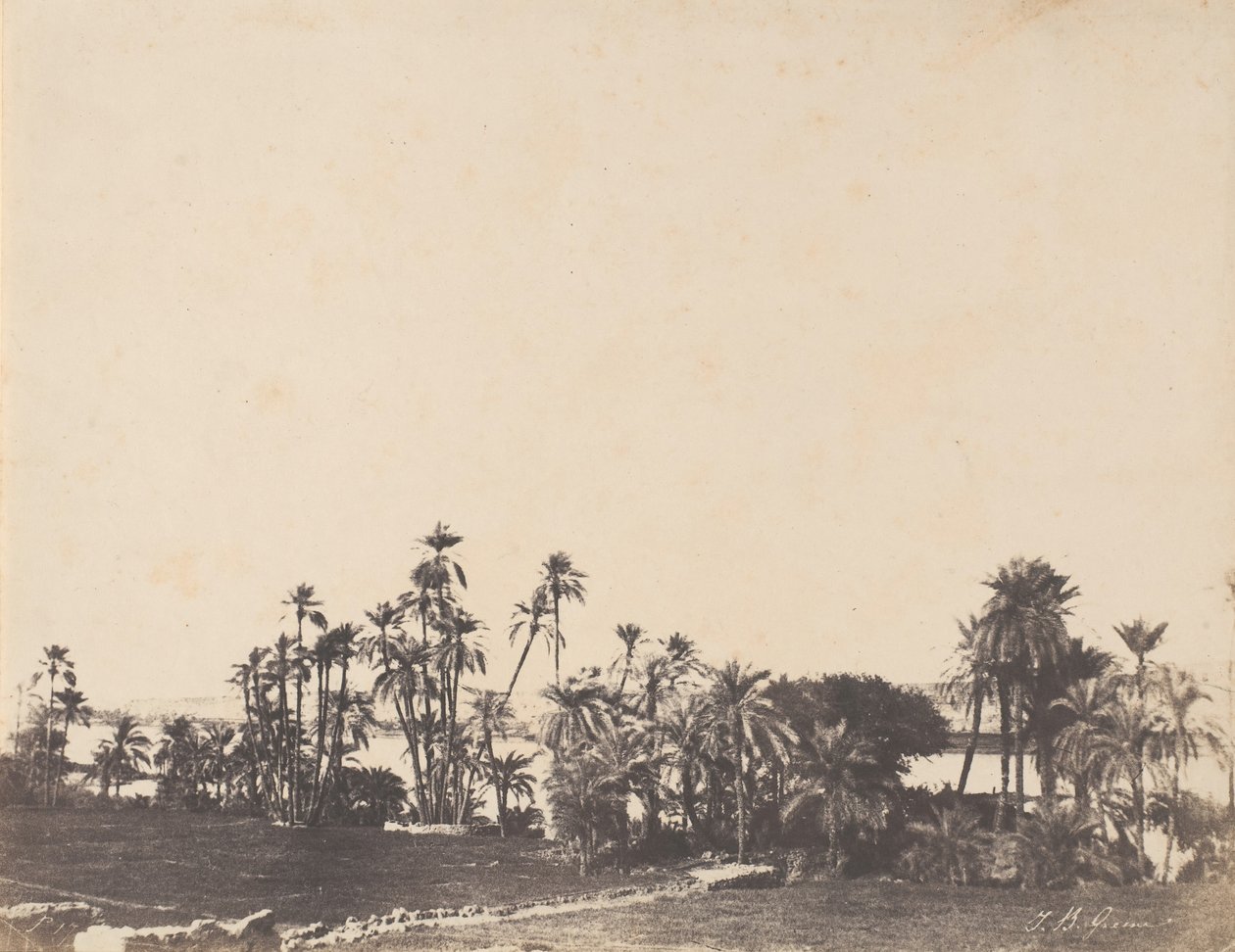 Estudo das Palmeiras, Bancos do Nilo, Kalabschi, 1853-54. de John Beasley Greene