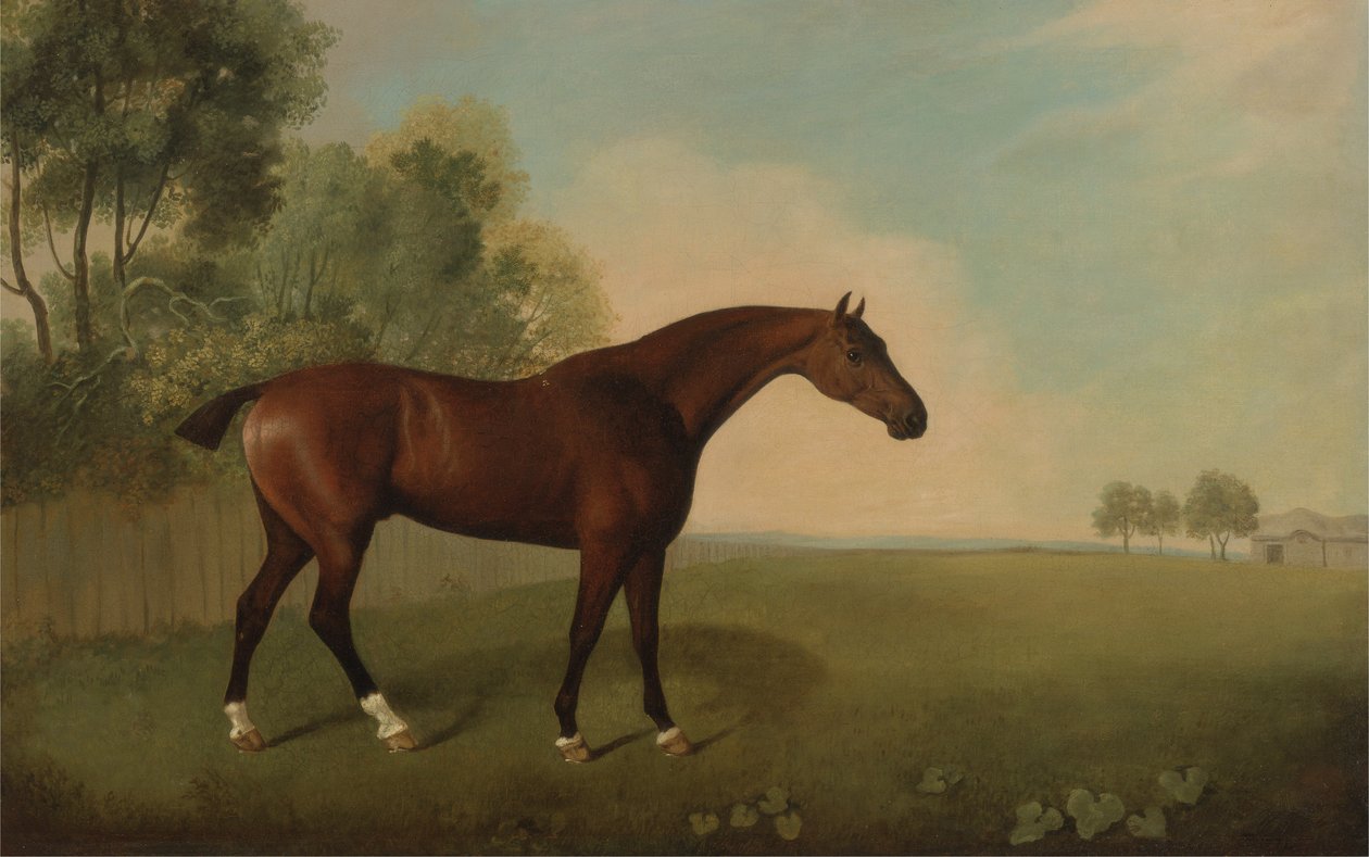 Um cavalo de baía em um campo, 1778 de John Boultbee