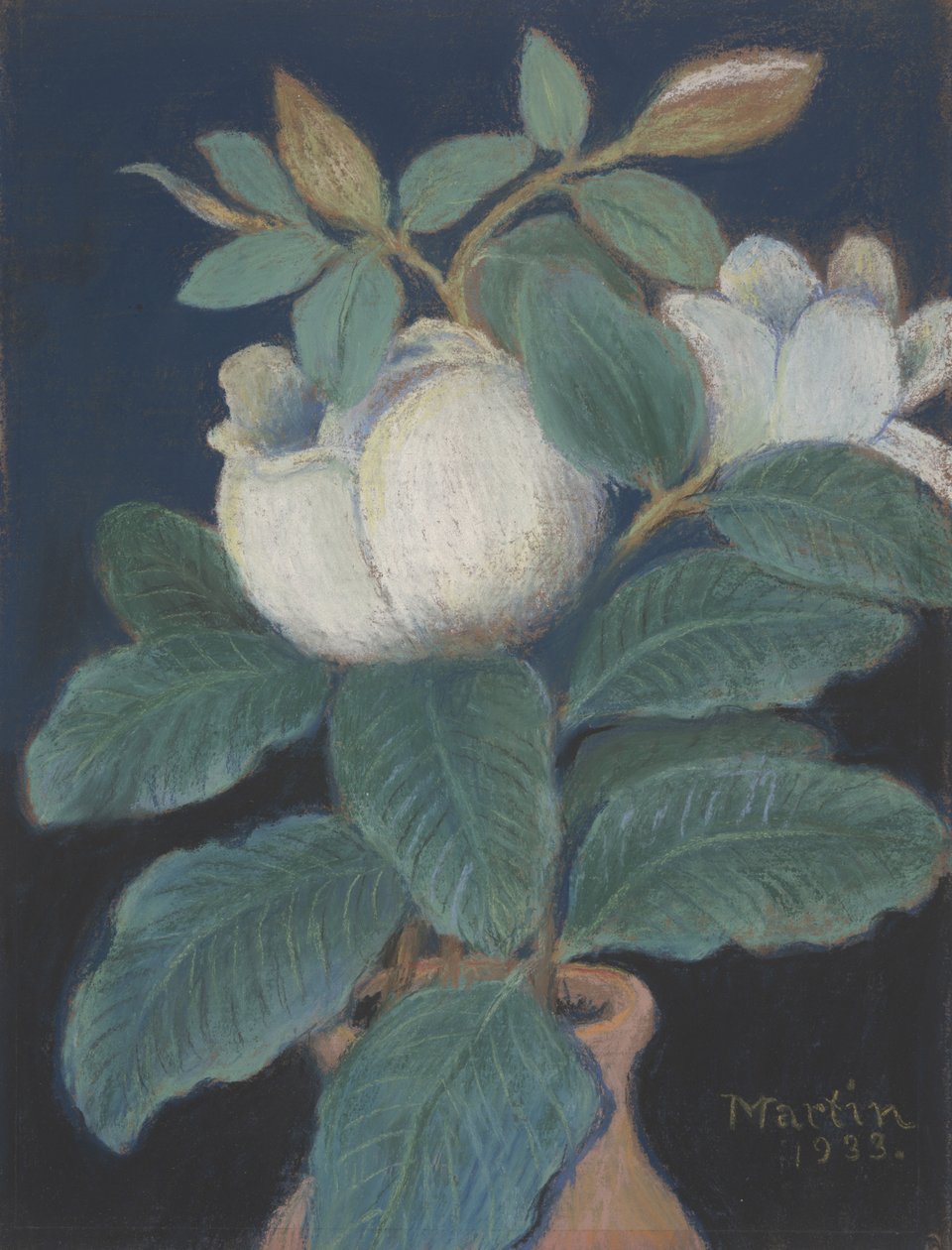 Flores de magnólia, 1933 de John Breckinridge Martin