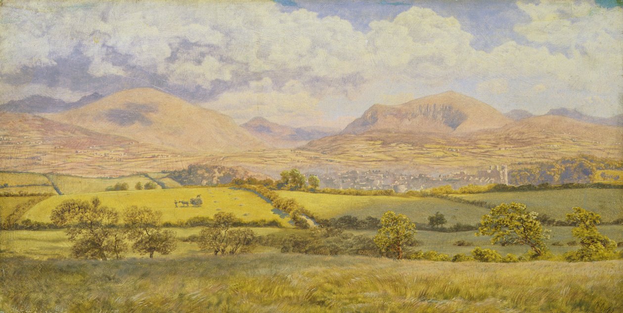 Caernarvon (óleo sobre tela) de John Brett
